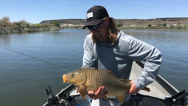 Snake River Carp